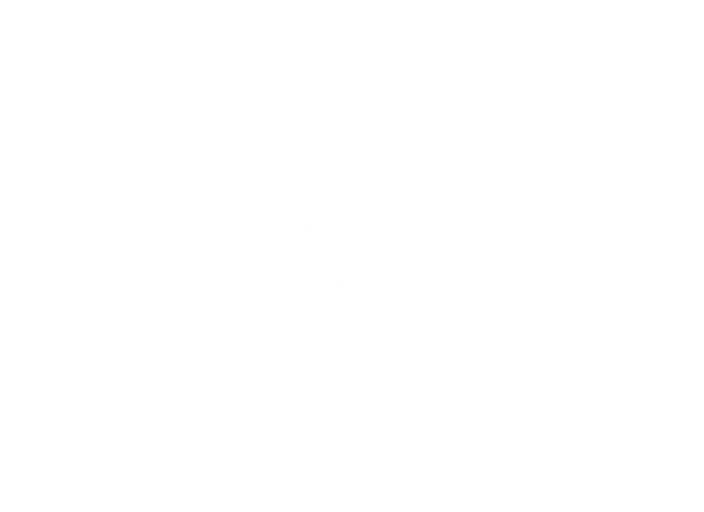 Solomon's logo
