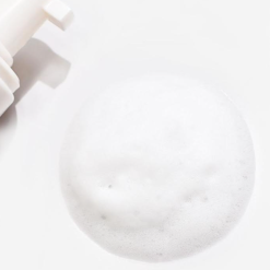 Solomon's Absinthe puhdistusvaahto